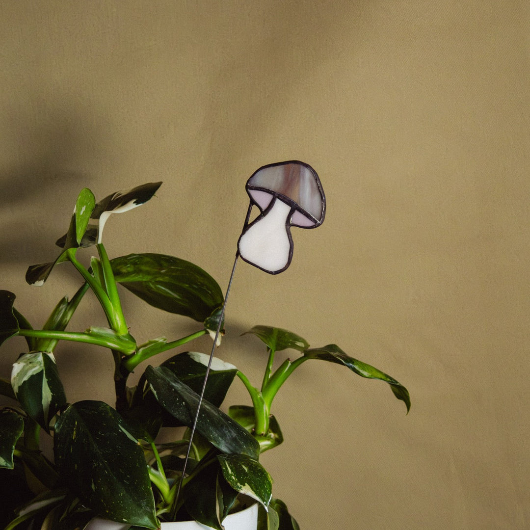 DÉCOS PLANTES