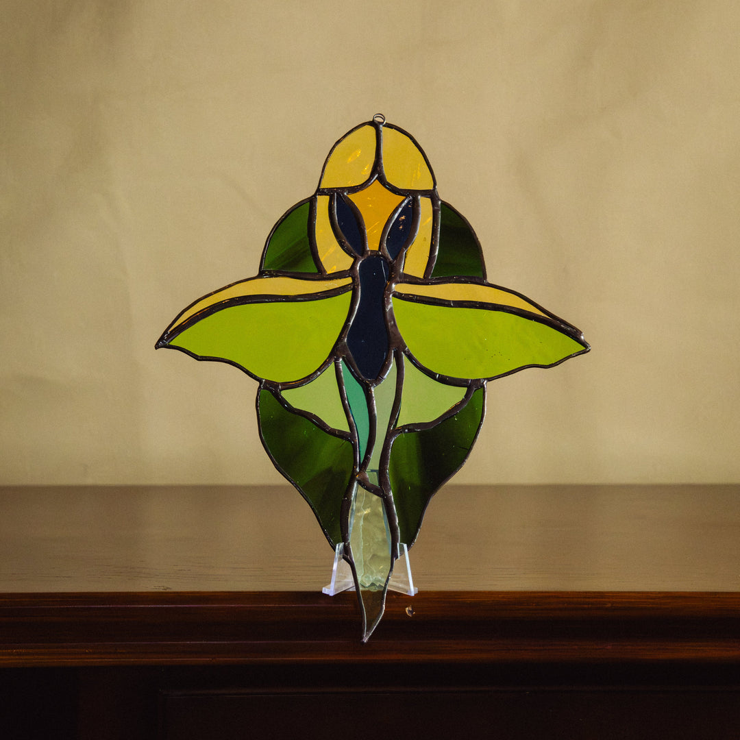 VITRAUX
