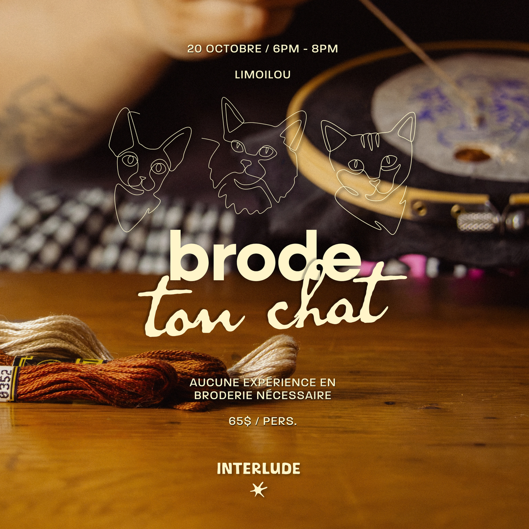 Cours guidé: Brode ton chat