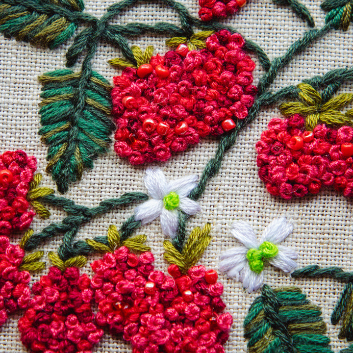 Broderie murale — Framboises