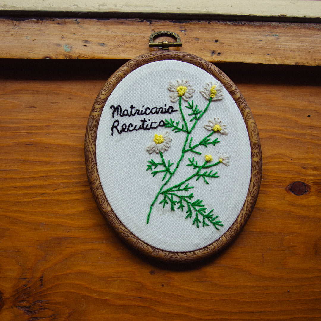 Broderie murale — Matricaria