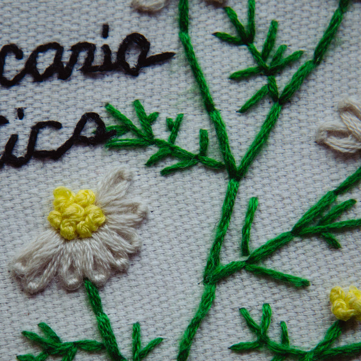 Broderie murale — Matricaria