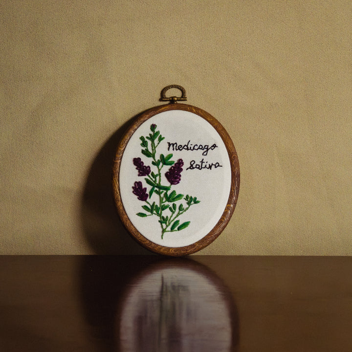 Broderie murale — Medicago