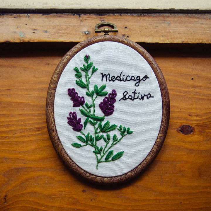 Broderie murale — Medicago